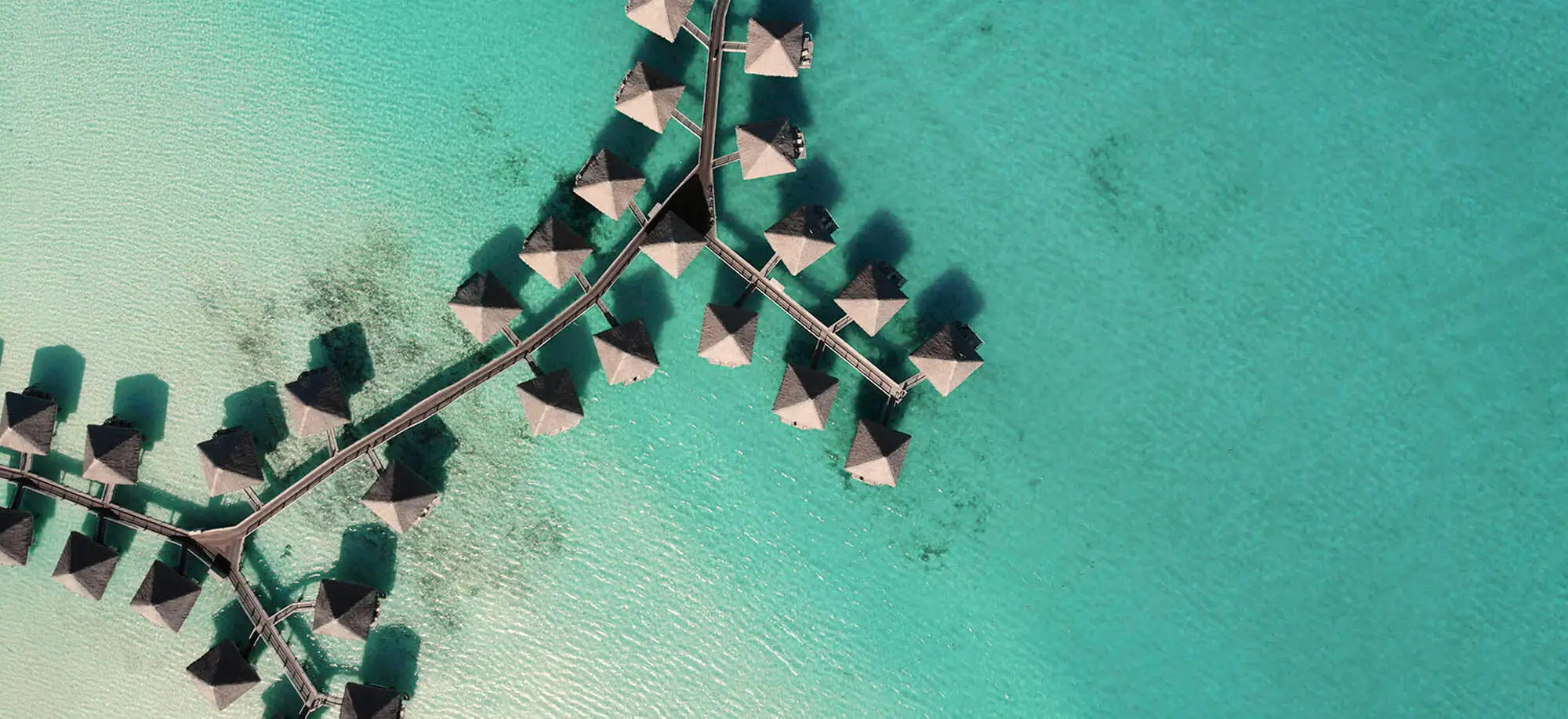 image-viajar-a-polinesia-francesa-bora-bora-g3.webp - Pangea Viajes