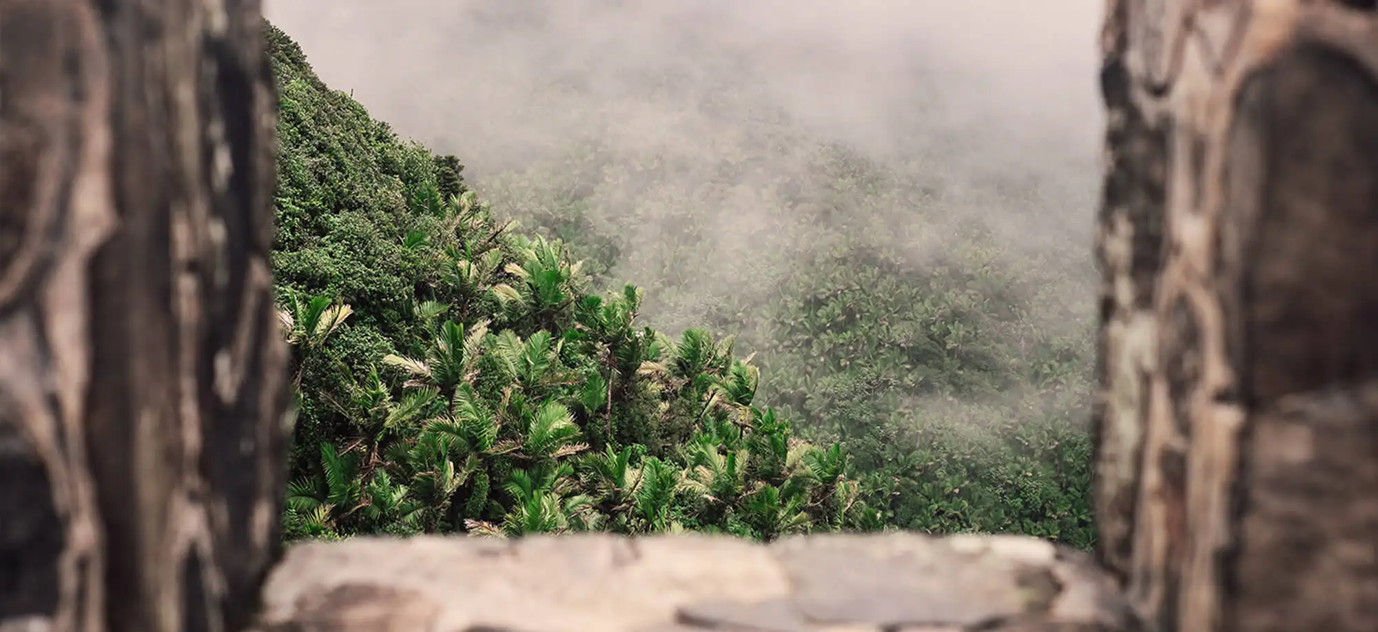 image-viajar-a-puerto rico-parque nacional el yunque-g-2.webp - Pangea Viajes
