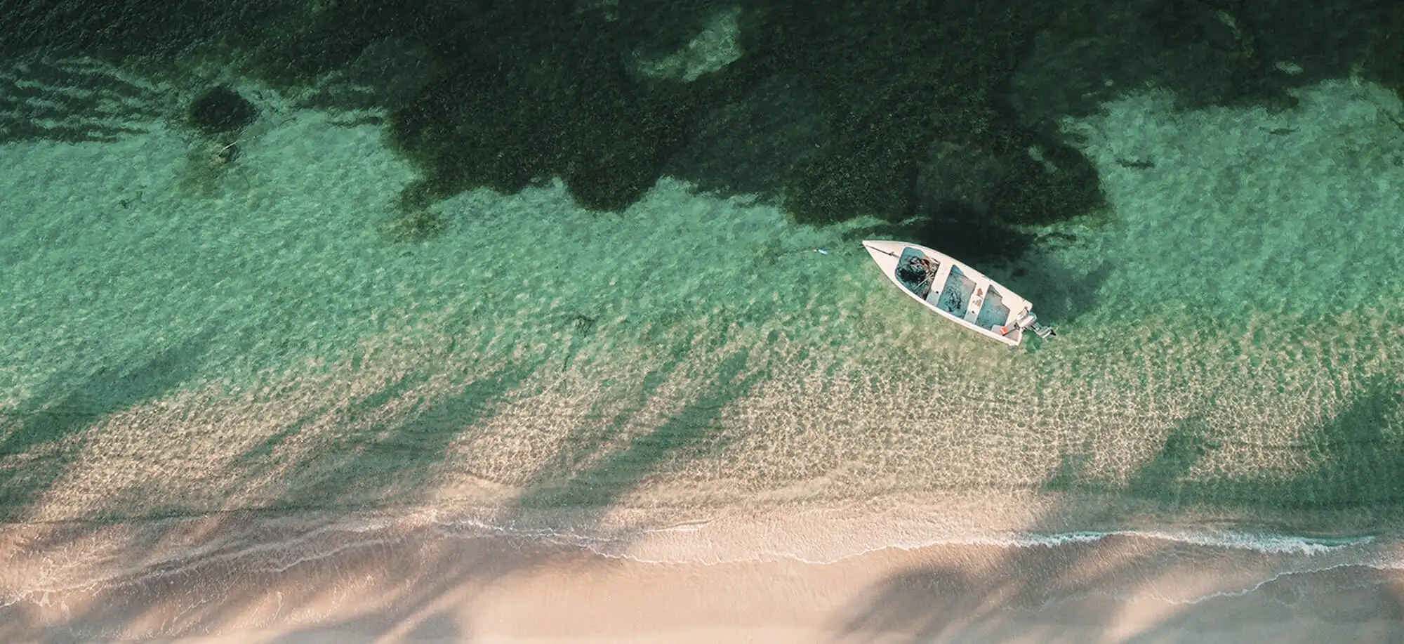 Vieques