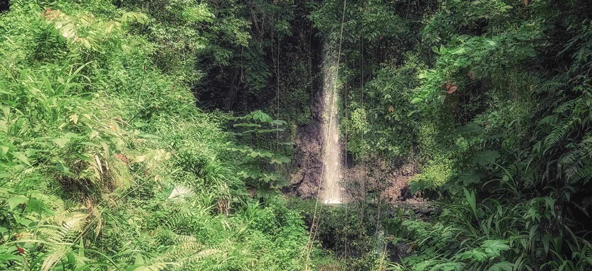 image-viajar-a-santo tome y principe-cascada de sao nicolau-g-3.webp - Pangea Viajes