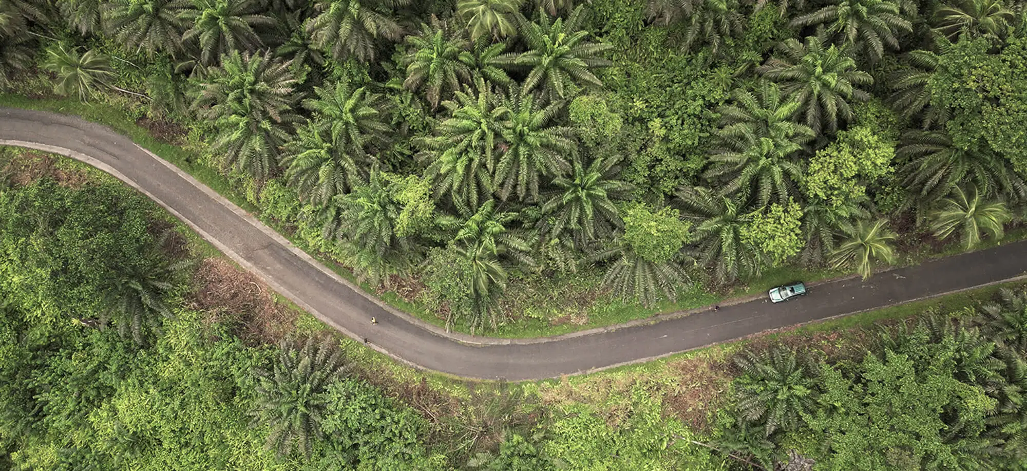 Parque Nacional de Obo