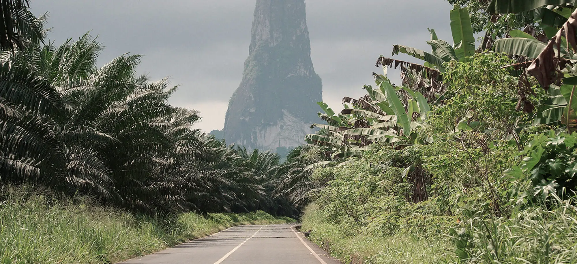 Pico Cão Grande