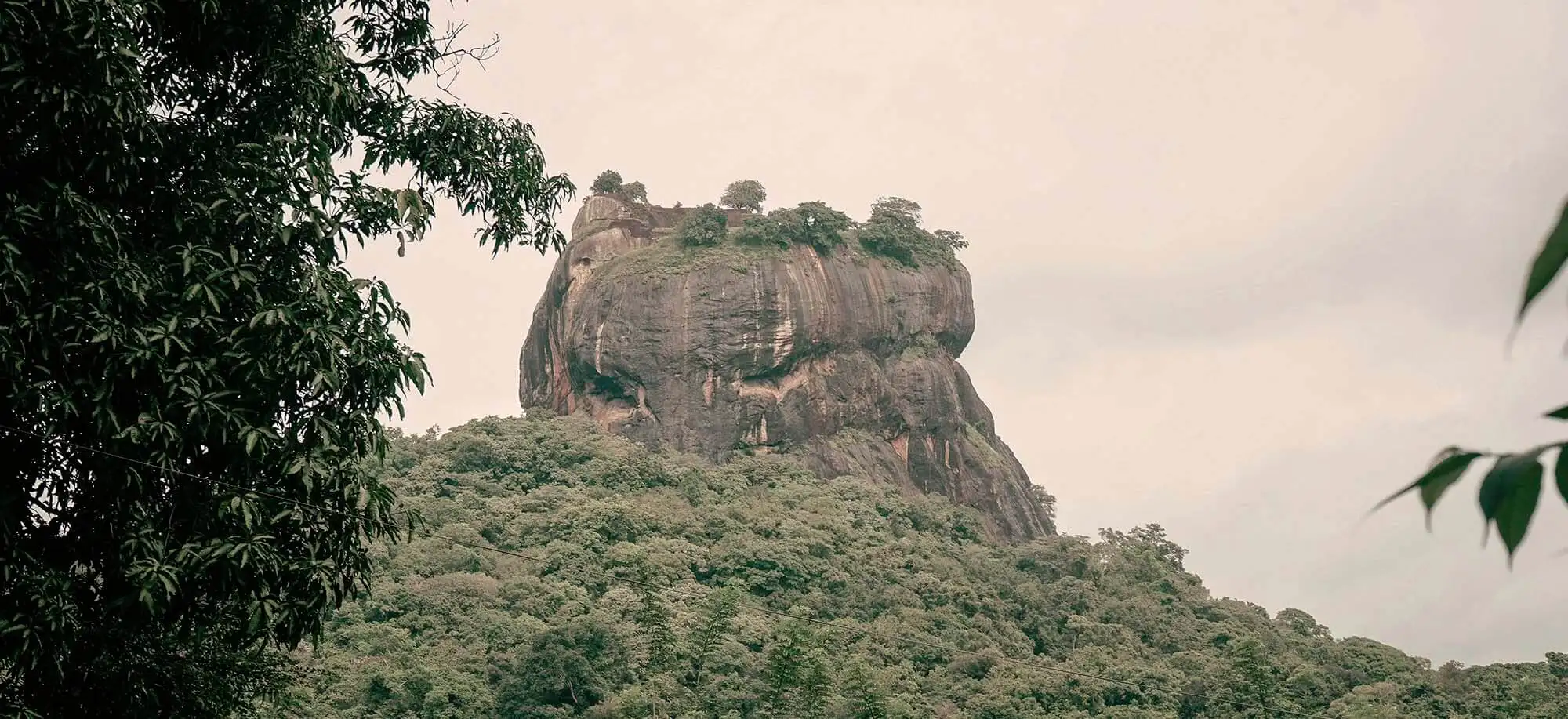 image-viajar-a-sri-lanka-la-roca-de-sigiriya-g3.webp - Pangea Viajes
