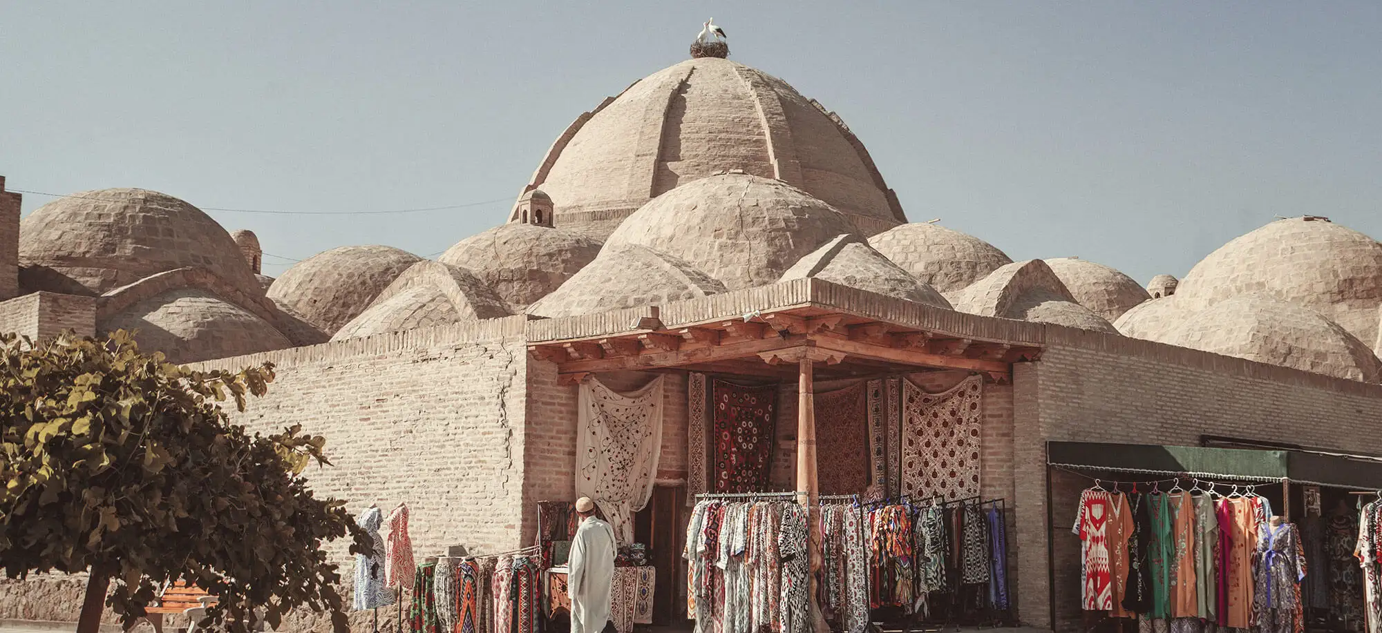 image-viajar-a-uzbekistan-bukhara-g2.webp - Pangea Viajes