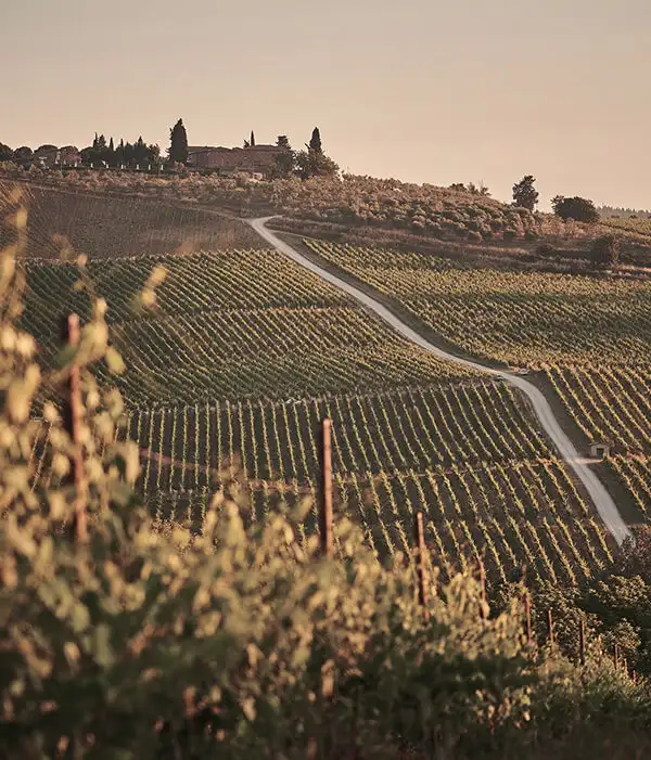 Viajes a la Toscana