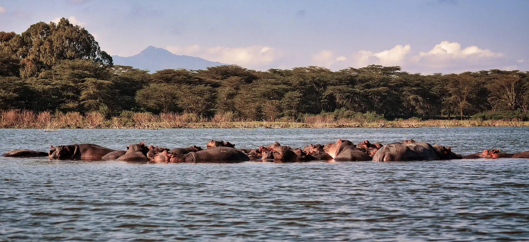 Lagos Naivasha y Nakuru