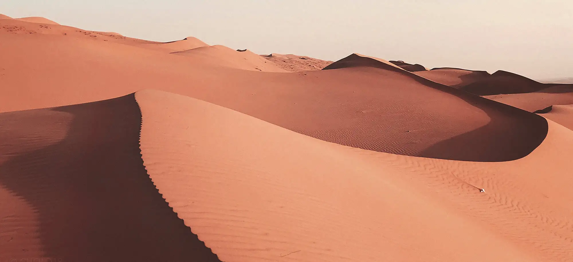 image-viaje-a-oman-desierto-de-wahibasands-g1.jpg - Pangea Viajes