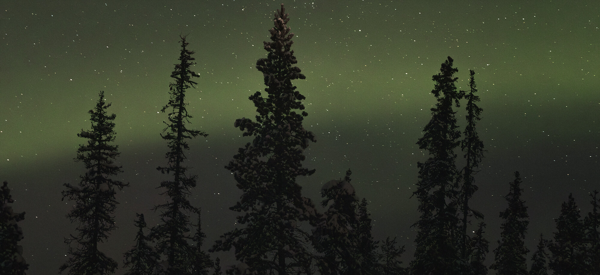 The hunt for the aurora